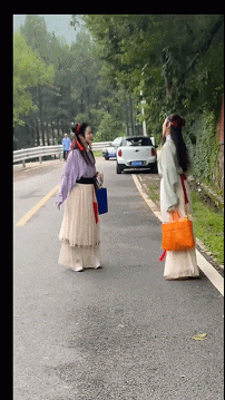 Word文档图片
