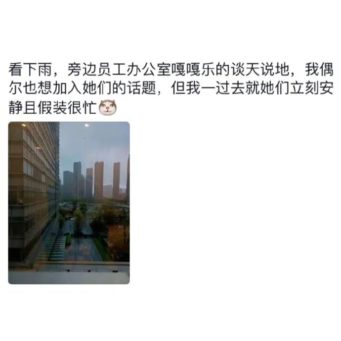 Word文档图片