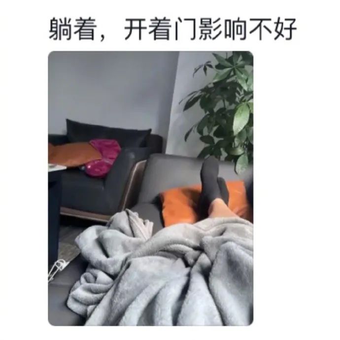 Word文档图片