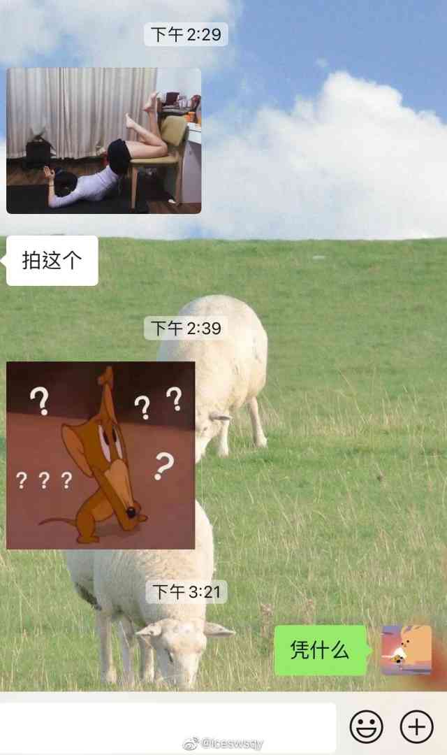 Word文档图片
