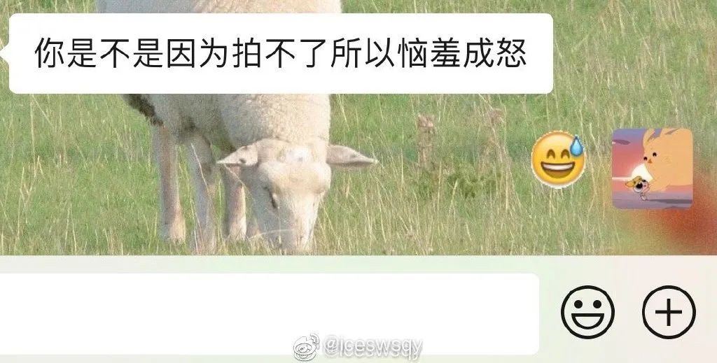 Word文档图片