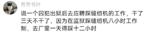 Word文档图片