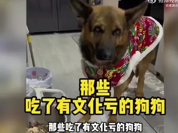 Word文档图片