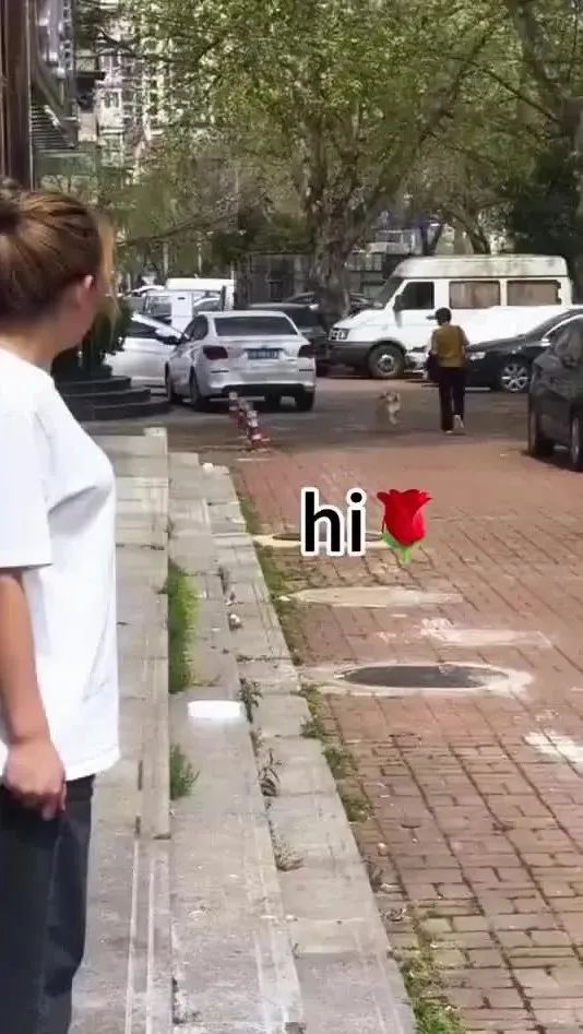 Word文档图片