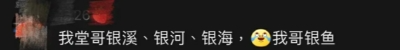 Word文档图片