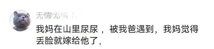 Word文档图片