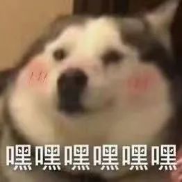 Word文档图片