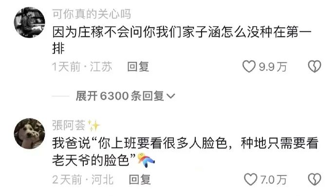 Word文档图片