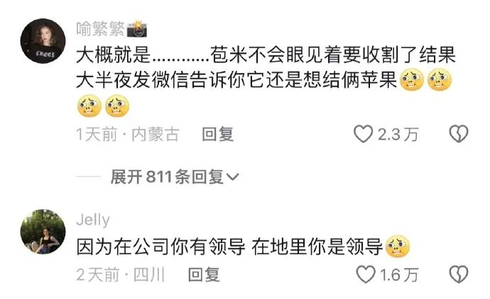 Word文档图片