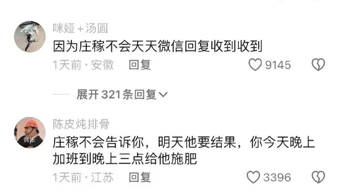 Word文档图片