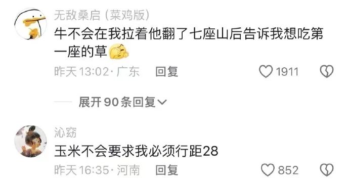 Word文档图片