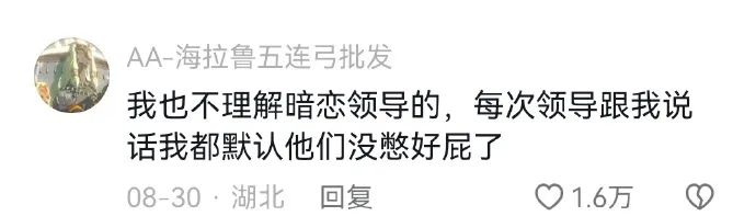Word文档图片