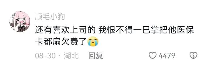 Word文档图片