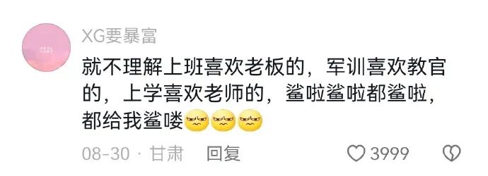 Word文档图片