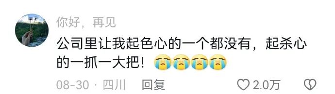 Word文档图片
