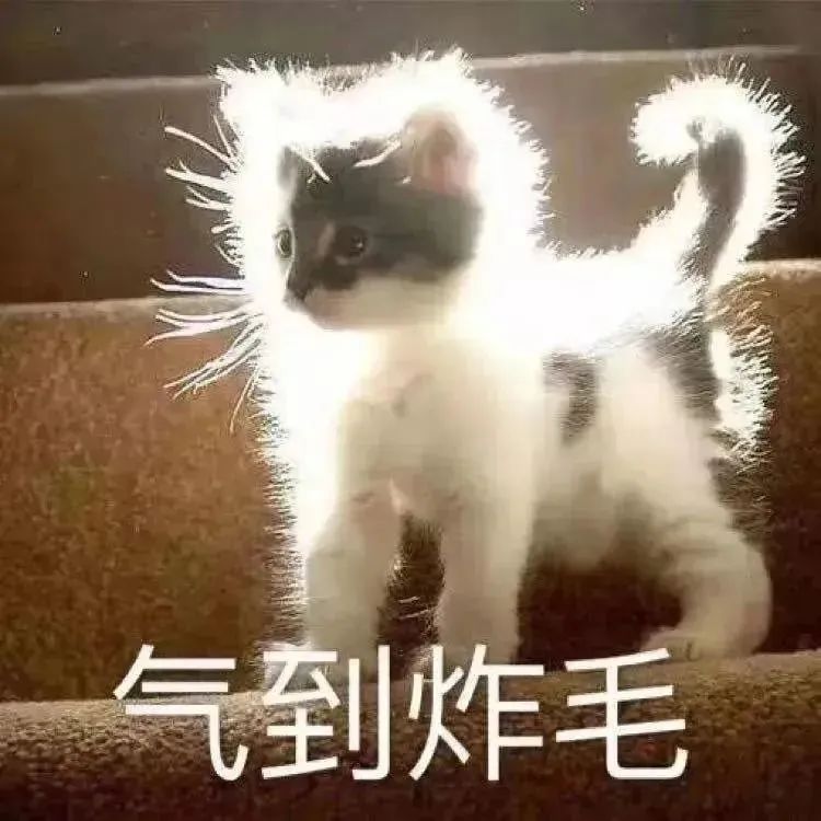 Word文档图片
