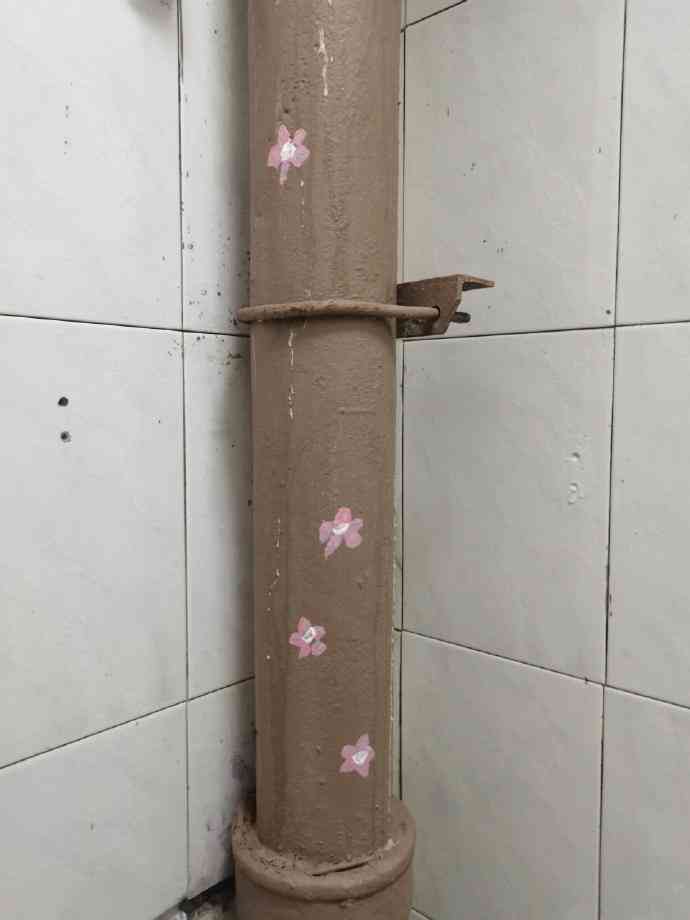 Word文档图片