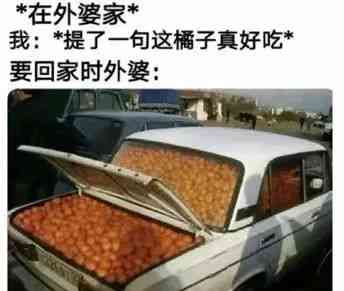 Word文档图片