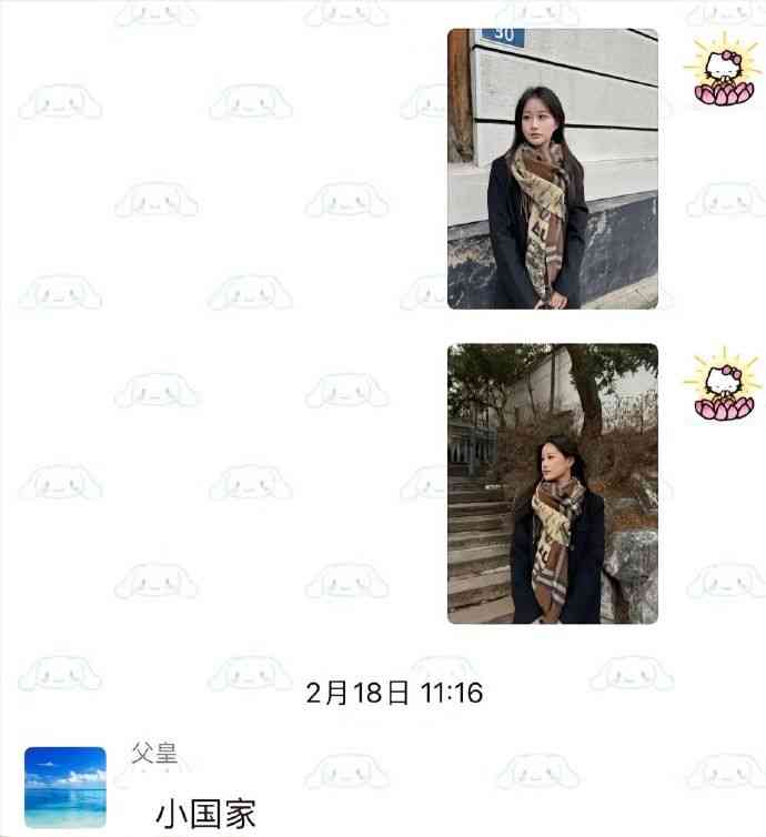 Word文档图片