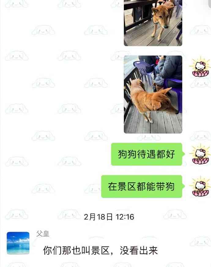 Word文档图片