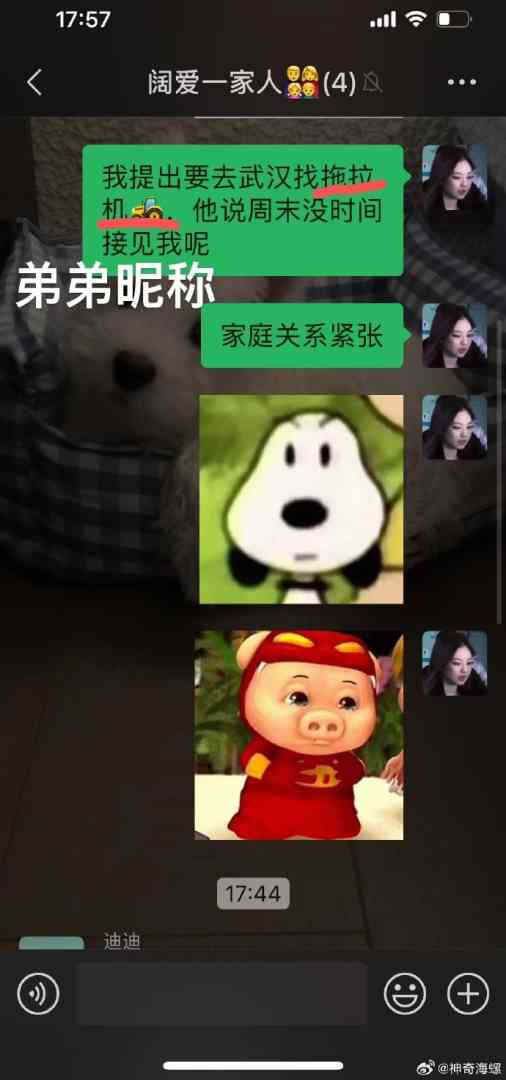 Word文档图片