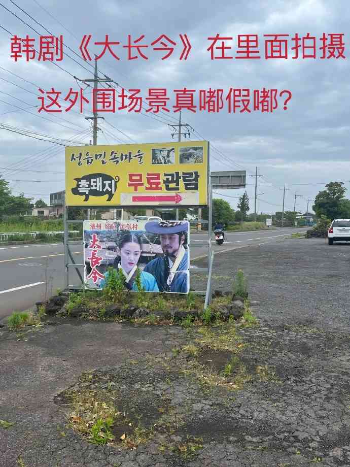 Word文档图片