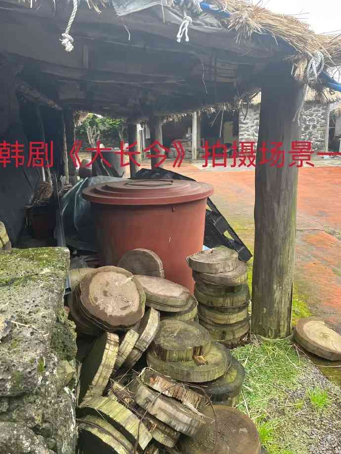 Word文档图片