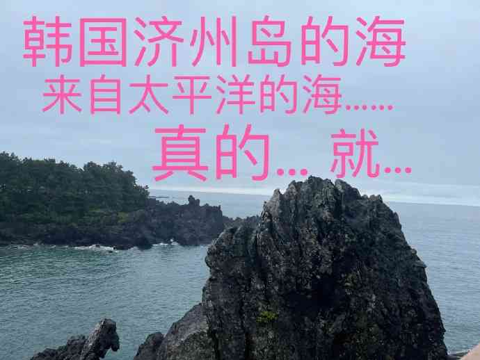 Word文档图片