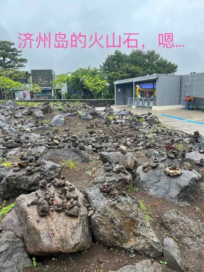 Word文档图片