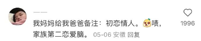 Word文档图片