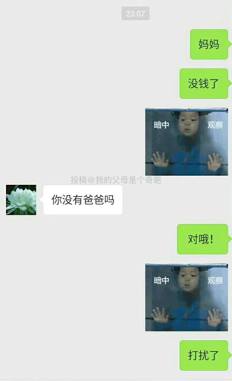 Word文档图片