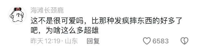 Word文档图片