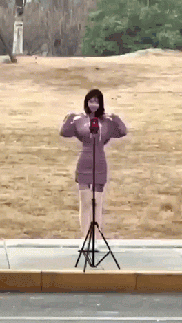 Word文档图片