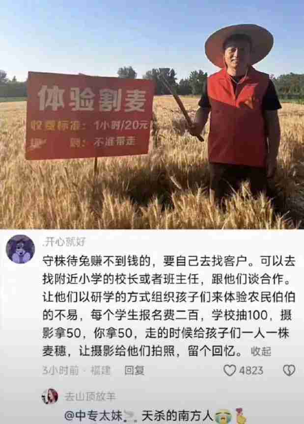 Word文档图片