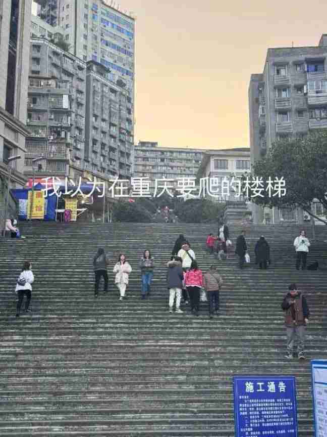 Word文档图片