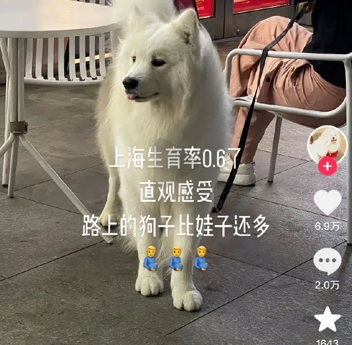 Word文档图片