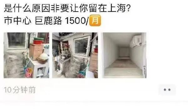 Word文档图片