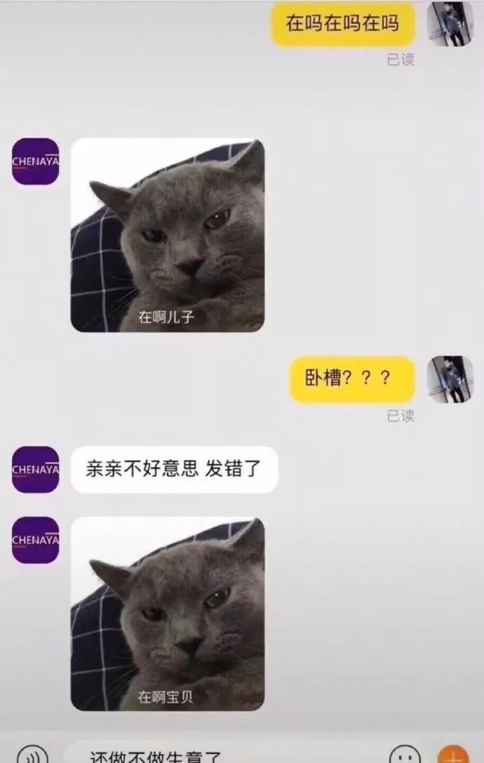 Word文档图片