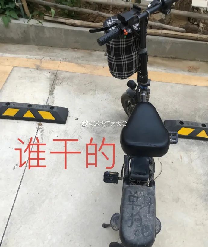 Word文档图片