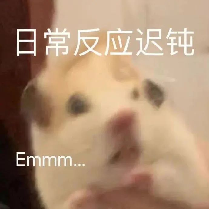Word文档图片