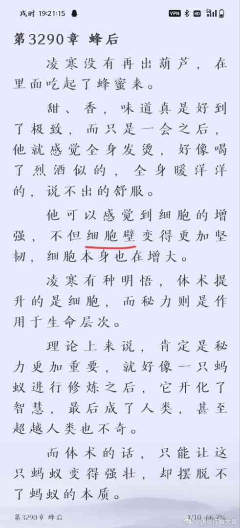 Word文档图片