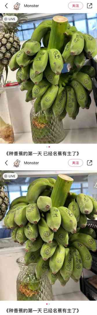 Word文档图片
