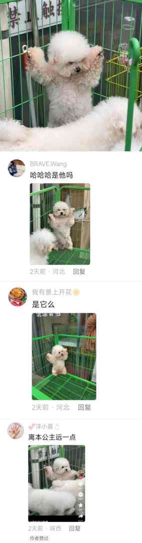 Word文档图片