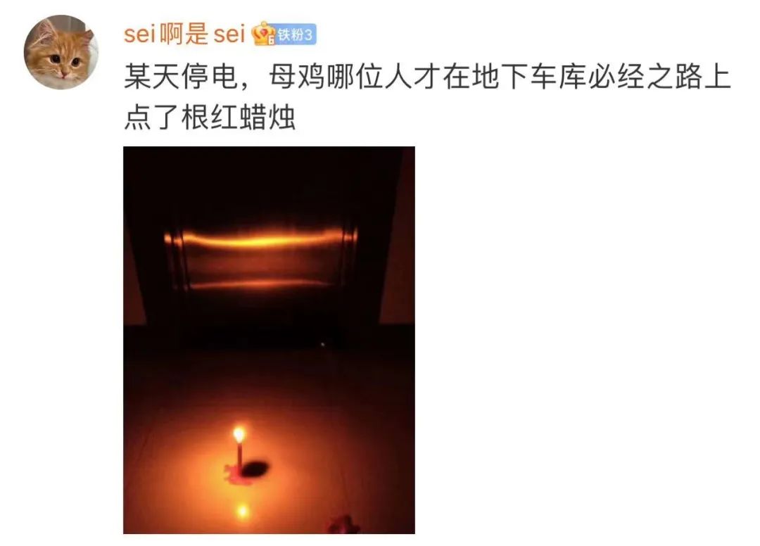 Word文档图片