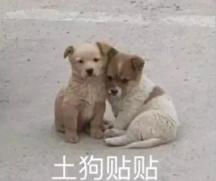 Word文档图片