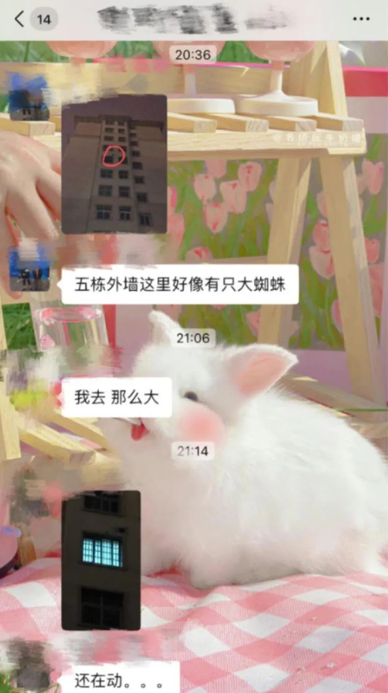 Word文档图片