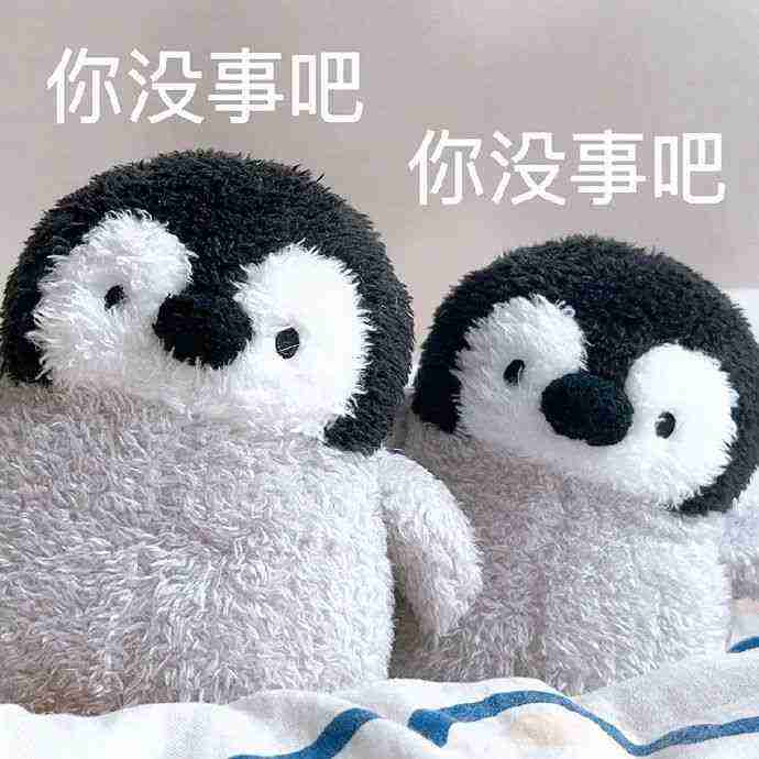 Word文档图片