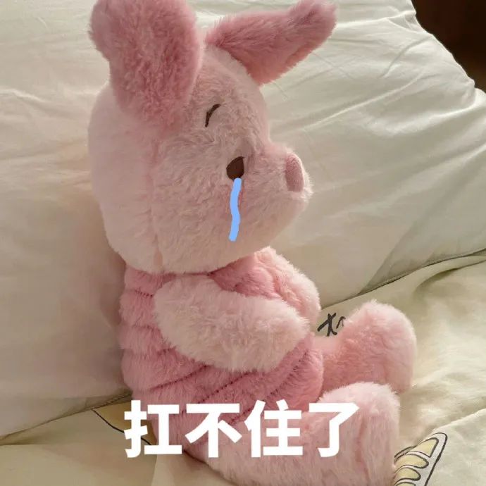 Word文档图片