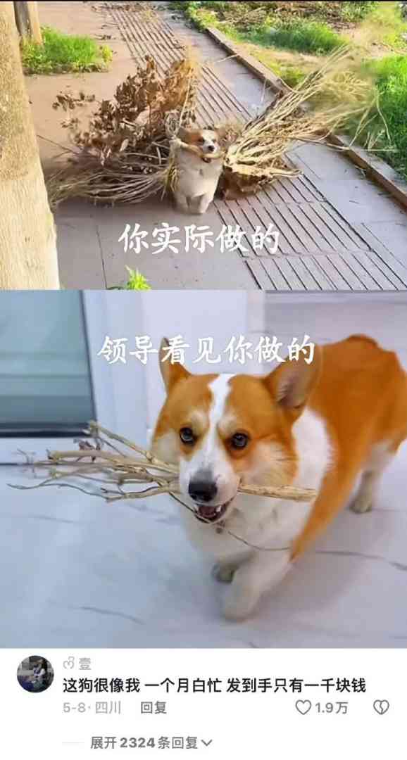 Word文档图片